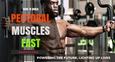 Sculpt Your Chest: The Ultimate Guide to Rapid Pectoral Growth