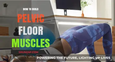 Strengthening Your Core: A Guide to Building Pelvic Floor Muscles