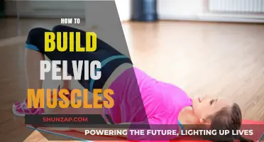 Strengthening Your Core: A Guide to Building Pelvic Muscles