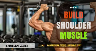 Sculpting Strong Shoulders: A Comprehensive Guide to Building Muscle