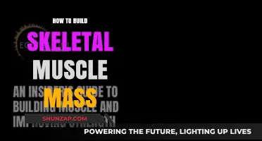 Unlocking Strength: A Guide to Building Skeletal Muscle Mass