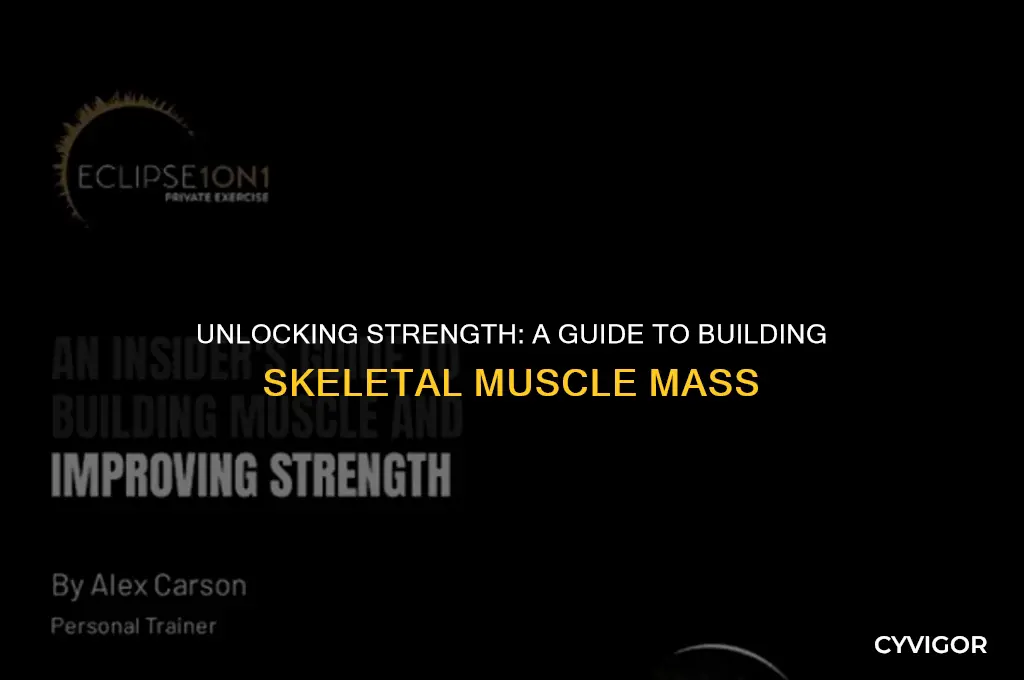how to build skeletal muscle mass