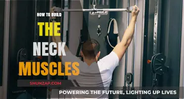 Strengthening Your Neck: A Comprehensive Guide to Building Muscle