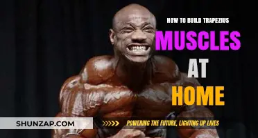 Effective Home Workouts to Strengthen Your Trapezius Muscles
