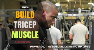 Sculpt Strong Triceps: A Comprehensive Guide to Building Muscle