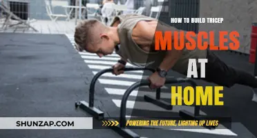 Effective Tricep Workouts: Building Muscle at Home