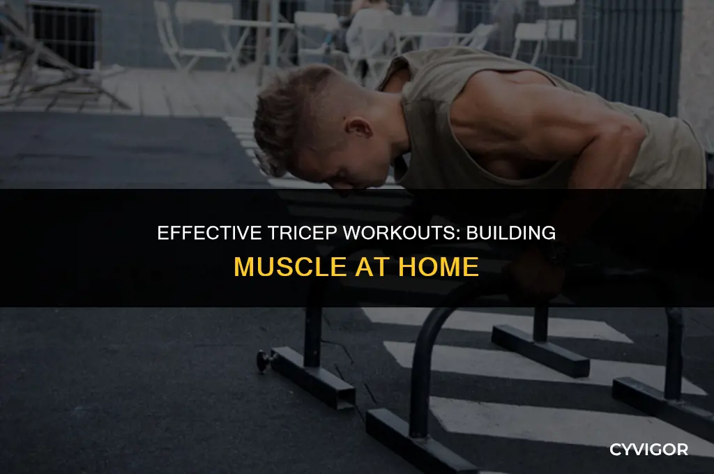 how to build tricep muscles at home