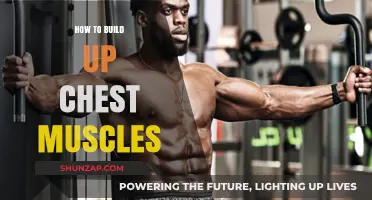 Sculpting Strength: A Guide to Building Powerful Chest Muscles