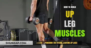 Strengthening Your Lower Body: A Guide to Building Leg Muscles