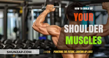 Sculpt Strong Shoulders: A Comprehensive Guide to Building Muscle