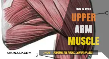Sculpting Strong Arms: A Guide to Building Upper Arm Muscle