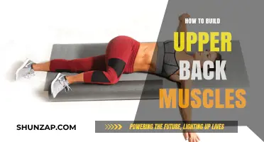 Strengthen Your Upper Back: A Comprehensive Guide to Building Muscle