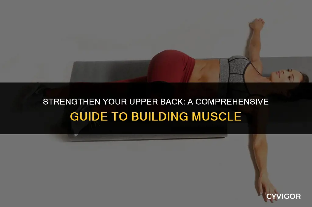 how to build upper back muscles
