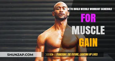 Effective Weekly Workout Plan for Muscle Gain: A Step-by-Step Guide