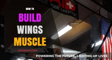 Unleash Your Wingman Potential: A Guide to Building Impressive Wings Muscles