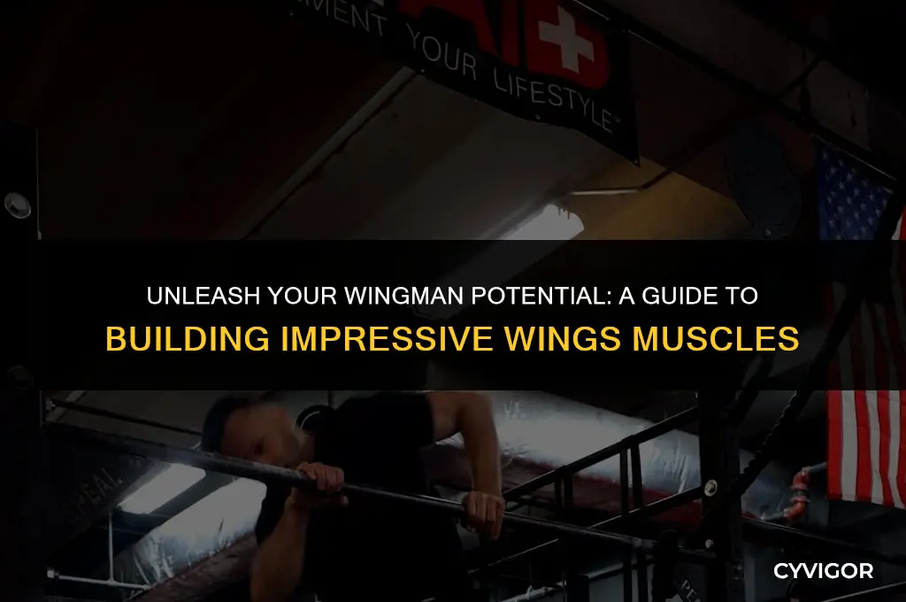 how to build wings muscle