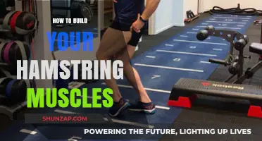 Strengthening Your Hamstrings: A Comprehensive Guide to Building Muscle