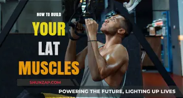 Sculpting Strength: A Guide to Building Powerful Lat Muscles