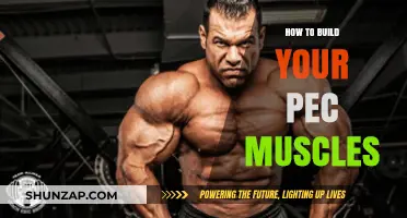 Sculpting Strength: A Guide to Building Powerful Pec Muscles