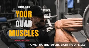 Strengthening Your Quads: A Comprehensive Guide to Building Muscle