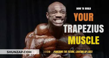 Strengthen Your Trapezius: A Comprehensive Guide to Building Upper Back Muscles