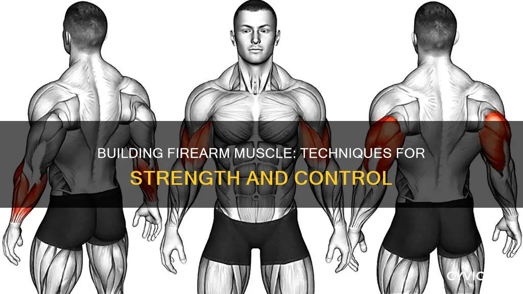 how to buildfirearm muscle