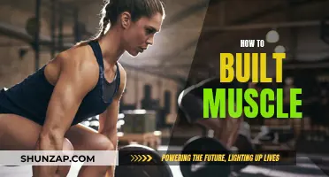 Building Muscle: Strategies for Strength and Growth