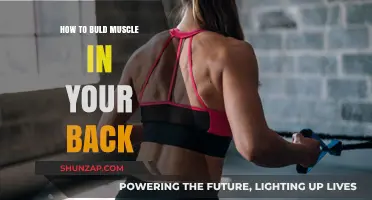 Strengthen Your Back: A Guide to Building Muscle and Improving Posture
