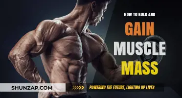 Effective Strategies for Bulking Up and Building Muscle Mass Fast