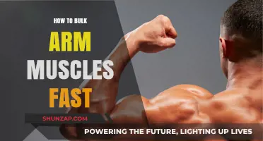 Fast-Track Arm Muscle Growth: Effective Bulk-Up Strategies Revealed