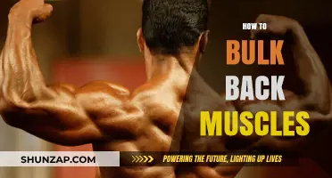 Building a Strong Back: Tips for Bulking Your Muscles