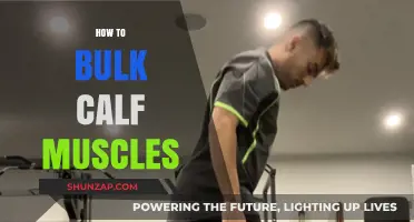 Effective Strategies to Rapidly Bulk Up Your Calf Muscles