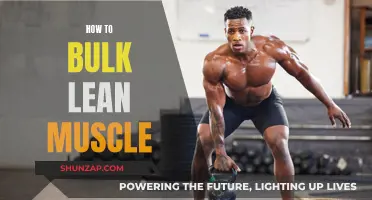 Building Lean Muscle: Strategies for Bulking Up