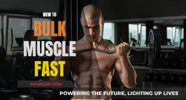 Building Muscle Mass: Fast and Furious Way