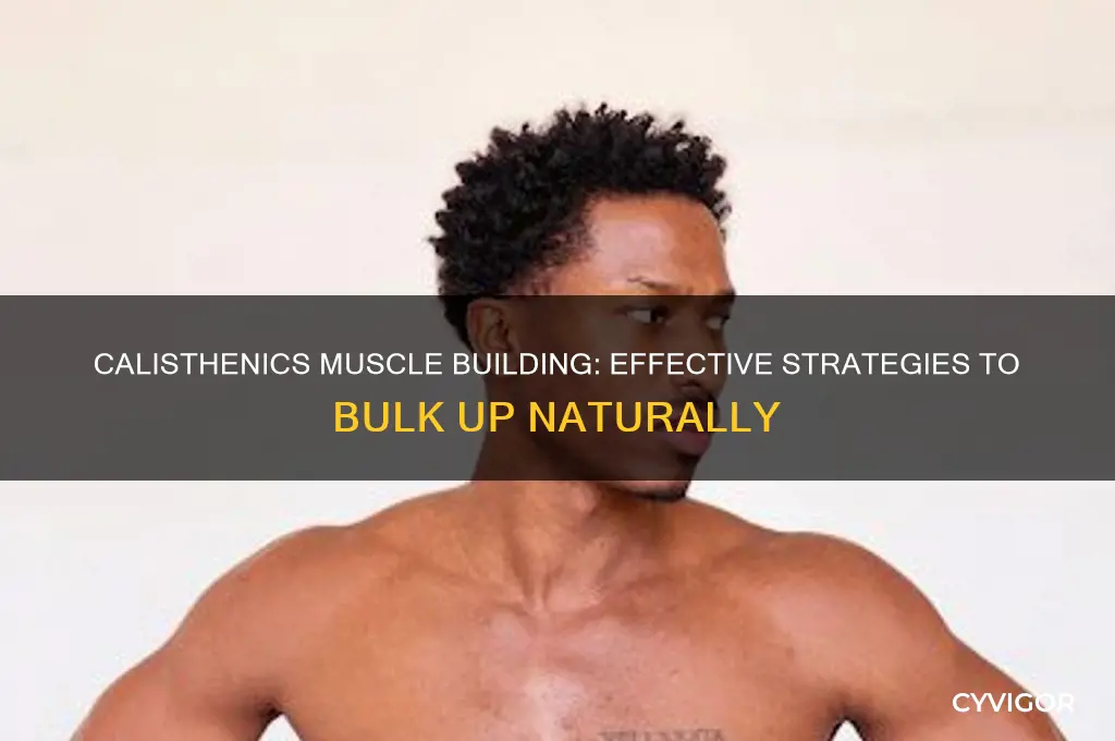 how to bulk up and gain muscle mass with calisthenics