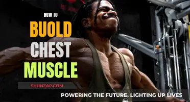 Building a Powerful Chest: Ultimate Muscle-Building Strategies