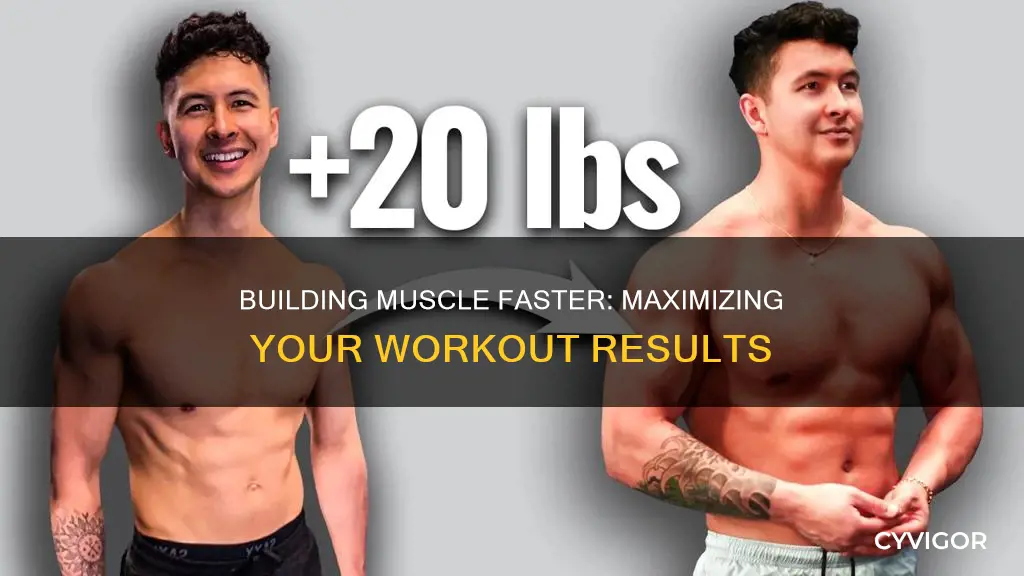 Building Muscle Faster: Maximizing Your Workout Results | CyVigor