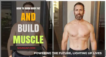 Transform Your Physique: The Ultimate Guide to Burning Fat and Building Muscle