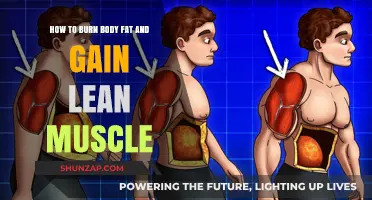 Burn Fat, Build Muscle: Effective Strategies for Lean Transformation