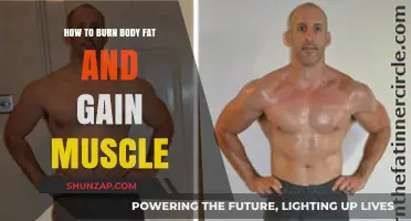 Effective Strategies to Burn Fat and Build Muscle Simultaneously