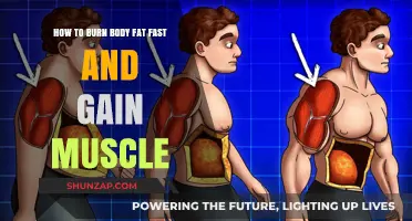 Burn Fat, Build Muscle: Fast-Track Your Fitness Transformation