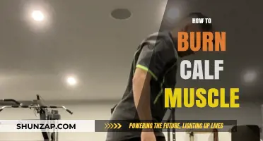 Effective Calf Muscle Burn: Tips and Exercises for Toned Legs
