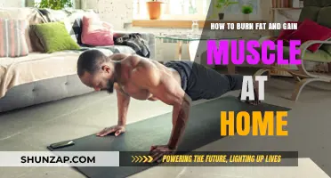 Effective Home Workouts to Burn Fat and Build Muscle Fast