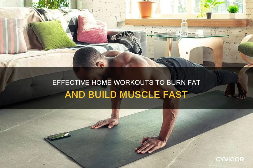 how to burn fat and gain muscle at home