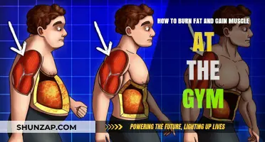 Maximize Your Gym Workouts: Burn Fat, Build Muscle Effectively