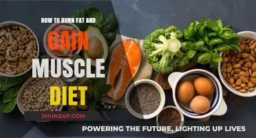 Effective Diet Strategies to Burn Fat and Build Muscle Fast