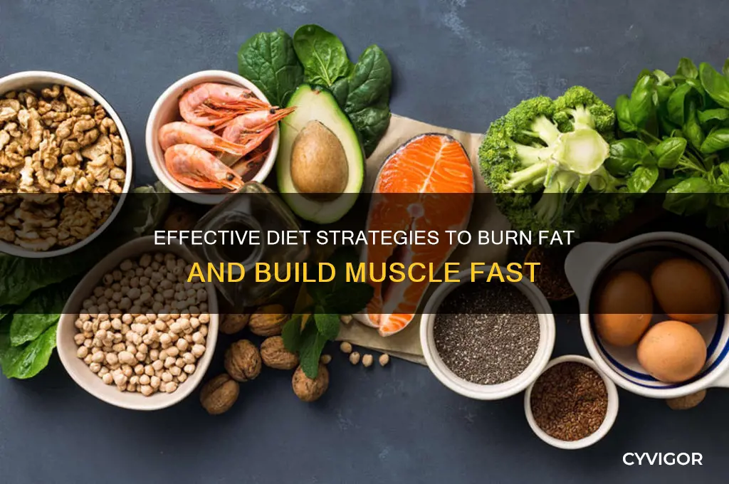 how to burn fat and gain muscle diet