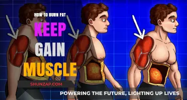 Burn Fat, Build Muscle: Effective Strategies for Dual Fitness Goals