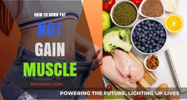 Effective Fat-Burning Strategies: Maximize Weight Loss Without Building Muscle