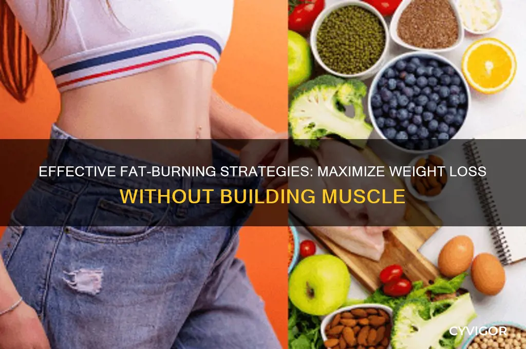 how to burn fat not gain muscle